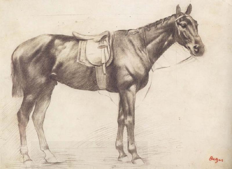 Edgar Degas Horse with Saddle and Bridle